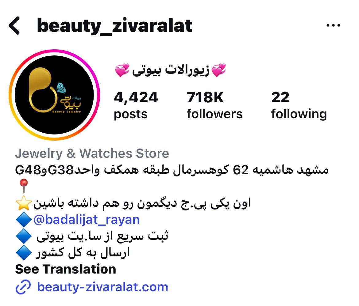 نمونه بازگردانی پیج اینستاگرام 1