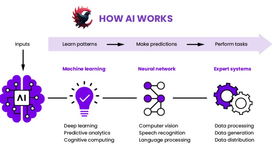 اثر فعالیت ویدئویی بر نالج‌پنل | نقش YouTube و Shorts در تقویت Knowledge Graph 2025